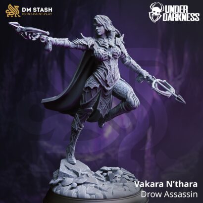 Vakara N’thara - Drow Assassin | DM-Stash | 3D-Miniatur|Tabletop|Lifting the Veil Pt ll - Under Darkness| Drow Assassin | DnD 5e+Datenblatt
