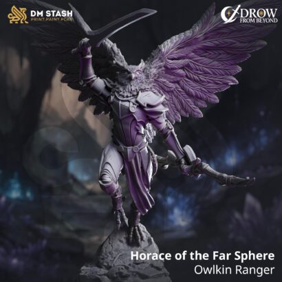 Horace of the Far Sphere - Owlkin Ranger | DM-Stash|3D-Miniatur|Tabletop| Elsebound Chronicles - Drow From Beyond |DnD 5e+Datenblatt