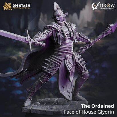 The Ordained - Face of House Glydrin | DM-Stash|3D-Miniatur|Tabletop| Elsebound Chronicles - Drow From Beyond |DnD 5e+Datenblatt